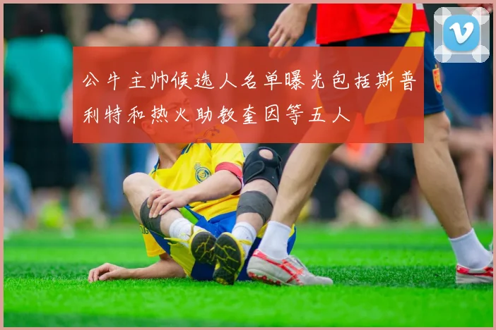 公牛主帅候选人名单曝光包括斯普利特和热火助教奎因等五人
