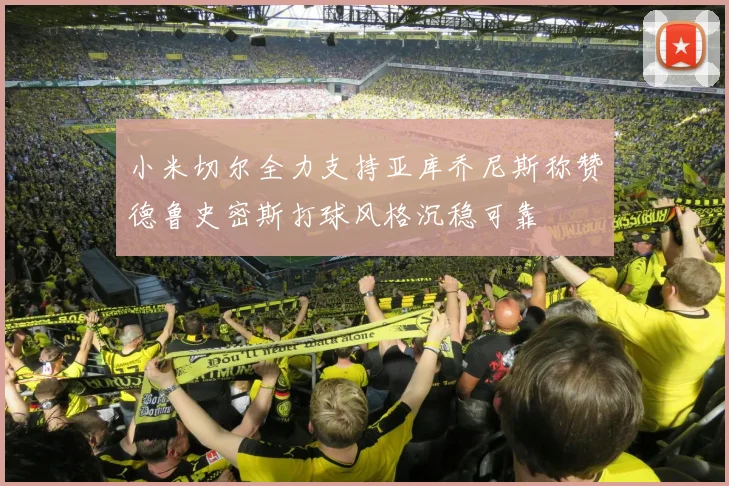 小米切尔全力支持亚库乔尼斯称赞德鲁史密斯打球风格沉稳可靠